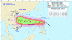 Các địa phương và bộ, ngành cần chủ động ứng phó bão số 13 Vamco