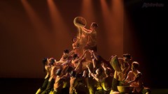 Liên hoan nghệ thuật Múa TP.HCM mở rộng 2020: Nơi nghệ thuật sáng tạo để thăng hoa