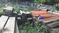 Đừng để gỗ quý hiếm biến thành gỗ mục