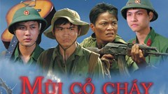 Cục Điện ảnh đề nghị Thanh tra việc chiếu 3 bộ phim Nhà nước trên Netflix