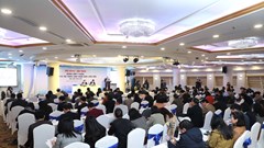 Không để khoảng trống trong quản lý phim trên mạng