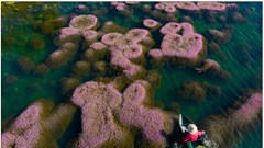 Trao giải cuộc thi ảnh Sắc màu Cao nguyên