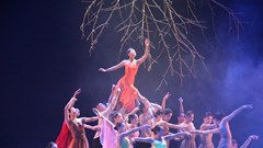 Trái ngọt cho những tận hiến vì nghệ thuật