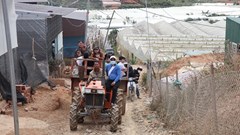 Hiểm hoạ từ những chuyến xe chở khách​​​​​​​ lên núi ngắm Mai Anh đào