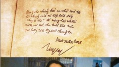 Cây đại thụ và cánh én tuổi thơ