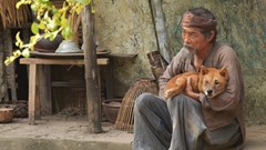 Phim chuyển thể từ văn học kinh điển: Làm sao cho khéo?