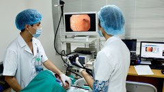 Số bệnh nhân mắc mới và tử vong do ung thư tăng nhanh ở Việt Nam: Chuyên gia lý giải nguyên nhân...