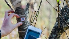 Một nghìn tem truy xuất nguồn gốc cho đào Sơn La đã được kích hoạt
