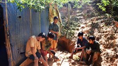 Phát hiện hầm vàng “khủng” trong vườn chanh dây