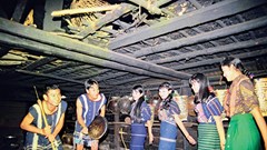 Cuộc chơi "chân mộc" lan đi nhẹ nhàng