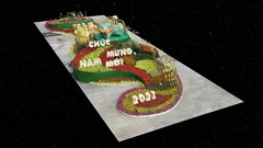 Số hóa Đường hoa Nguyễn Huệ Tết Tân Sửu  2021