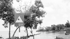 Cả một đời giữ rừng phòng hộ ven biển Kiên Giang