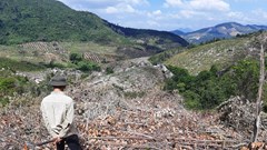 Đừng thờ ơ với môi trường sống của người dân