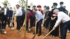 “Chúng ta trồng cây xanh để thúc đẩy quốc kế dân sinh”