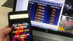 Hoạt động của các sàn giao dịch Forex là bất hợp pháp