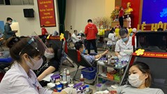 Chuyện về những sinh viên tình nguyện hiến máu