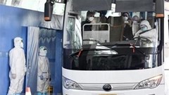 WHO sẽ công bố kết quả điều tra nguồn gốc Covid-19 vào giữa tháng 3