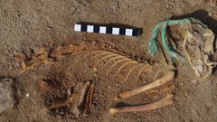 Thêm phát hiện sửng sốt gần 2.000 năm tuổi ở Ai Cập cổ đại