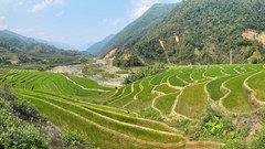 Vẻ đẹp ruộng bậc thang mùa mạ non nơi biên giới Lai Châu