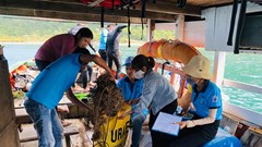 Dọn vệ sinh đáy biển, bảo vệ rạn san hô ở Cù lao Chàm