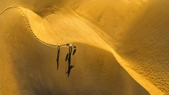 Có một Ninh Thuận tuyệt đẹp trong những khung hình bình dị