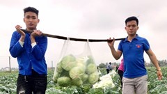 Đoàn viên thanh niên chung tay “giải cứu” nông sản
