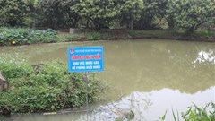 Quảng Ngãi: Một học sinh đuối nước, mất tích khi tắm biển