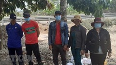 Long An: Phát hiện 5 đối tượng nhập cảnh trái phép từ Campuchia