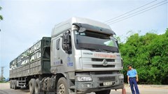 Từ 1.4, triển khai chuyên đề xử lý vi phạm chở hàng quá khổ, quá tải