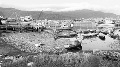 Làm sạch môi trường cảng cá lớn nhất miền Trung