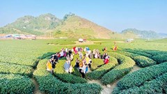 Sơn La đón 297.000 lượt khách du lịch trong 3 tháng đầu năm