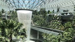 Người dân Singapore được tham dự các sự kiện tập thể từ 5.4