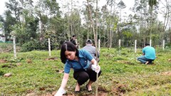 Nhiều mô hình đáng học tập ở Huế