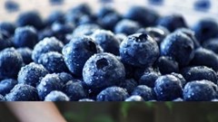 6 loại trái cây thông thường  tốt cho sức khỏe ít ai biết