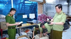 Ninh Bình: Triệt phá kho hàng giả, hàng nhái lớn nhất từ trước đến nay