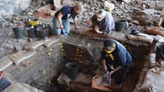 Phát hiện mới đảo lộn hoàn toàn bức tranh tiến hóa loài người ở châu Phi