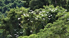 Vẻ đẹp hoang sơ ở mảnh đất có đường biên giới dài nhất xứ Nghệ