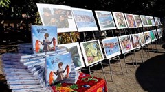 Sách ảnh nghệ thuậ​​​​​​​t: Những lát cắt đa sắc về cuộc sống