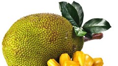 Những công dụng không ngờ từ quả mít