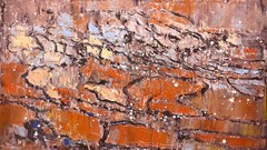 Triển lãm tranh trực tuyến “Gieo tổ ấm” quyên góp xây nhà cho người nghèo