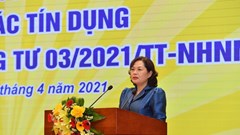 Tín dụng chứng khoán, bất động sản vẫn “nóng”, Ngân hàng Nhà nước khẳng định sẽ kiểm soát chặt