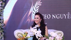 Bà Nguyễn Phương Hằng bị phạt 7,5 triệu đồng vì phát ngôn sai sự thật