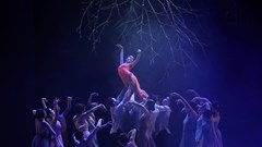 Sớm ban hành Nghị định quy định về đào tạo chuyên sâu, đặc thù trong lĩnh vực văn hoá, nghệ thuật