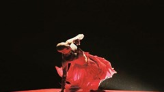 Gặp tuồng khi xem múa đương đại