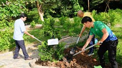 Giải Marathon Núi Bà Đen 2021 truyền tải thông điệp bảo vệ môi trường