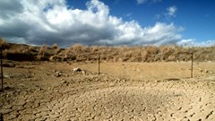 Những cam kết  ấn tượng