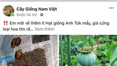 Nhiều vi phạm trên tài khoản FACEBOOK