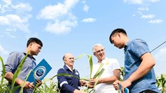 Nông dân Cô gái Hà Lan làm giàu trên mảnh đất quê hương từ chăn nuôi bền vững