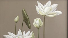 Mạng xã hội Phật giáo Butta trao tặng 108 bức tranh sen tri ân người yêu mến Phật giáo