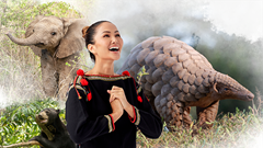 Chiến dịch “Tê tê vẫn thế” - Chung tay bảo vệ động vật có nguy cơ tuyệt chủng